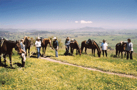 Watsons Trail Rides - Accommodation Adelaide 1