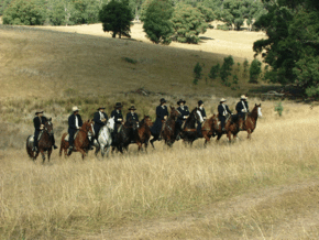 McCormacks Mountain Valley Trail Rides - Accommodation Adelaide