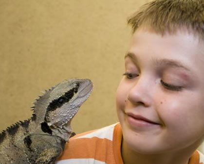 Geckoes Wildlife Presentations - Accommodation Adelaide 2