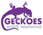 Geckoes Wildlife Presentations - Accommodation Adelaide 3