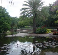 Brisbane City Botanic Gardens - Accommodation Adelaide