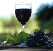 Lion Mill Vineyards - Accommodation Adelaide