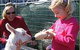 The Sun Herald Sydney Family Show - thumb 2