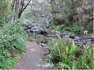 Stevensons Falls - Accommodation Adelaide 1