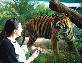 Crocodylus Park - Accommodation Adelaide 1