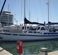 Coral Sea Dreaming Dive and Sail - Accommodation Adelaide