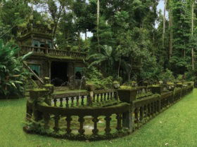 Paronella Park - Accommodation Adelaide 2