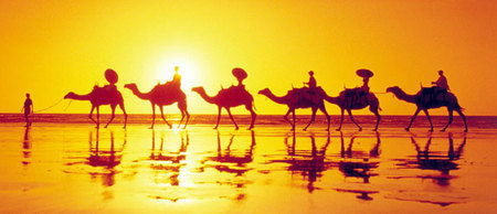 Banksia Adventures - Accommodation Adelaide 1
