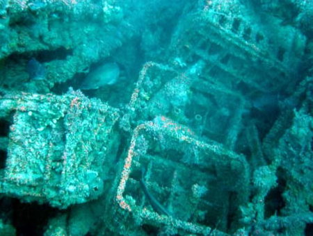 Underwater Sports Diving Centre - Accommodation Adelaide 0