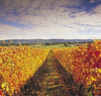 Link Tours - Accommodation Adelaide