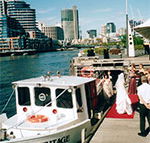 Bay  River Cruises - Accommodation Adelaide
