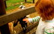 Collingwood Children's Farm - thumb 0