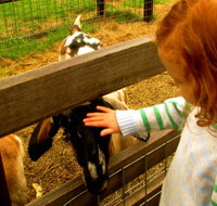 Collingwood Children's Farm - Accommodation Adelaide