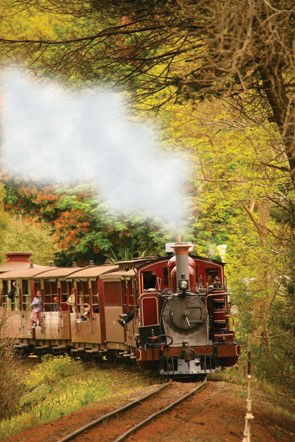 Puffing Billy - Accommodation Adelaide 5
