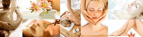 Apollos Day Spa - Accommodation Adelaide 1