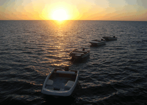 Carlo Fishing Charters - Accommodation Adelaide 2