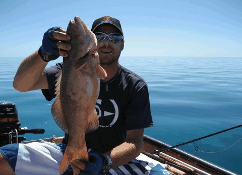 Carlo Fishing Charters - Accommodation Adelaide 3