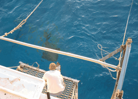 Carlo Fishing Charters - Accommodation Adelaide 4