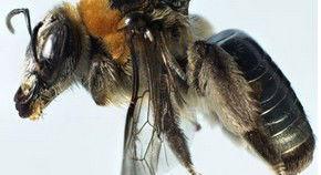 City Delivery Centre WA Accommodation Adelaide