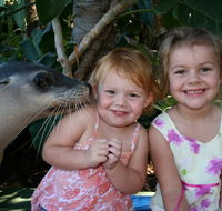 Dolphin Marine Magic - Accommodation Adelaide