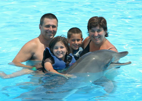 Dolphin Marine Magic - Accommodation Adelaide 2