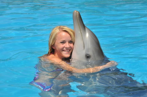 Dolphin Marine Magic - Accommodation Adelaide 5