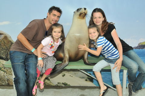 Dolphin Marine Magic - Accommodation Adelaide 6