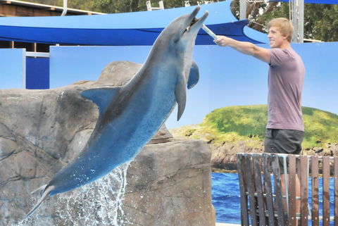 Dolphin Marine Magic - Accommodation Adelaide 7