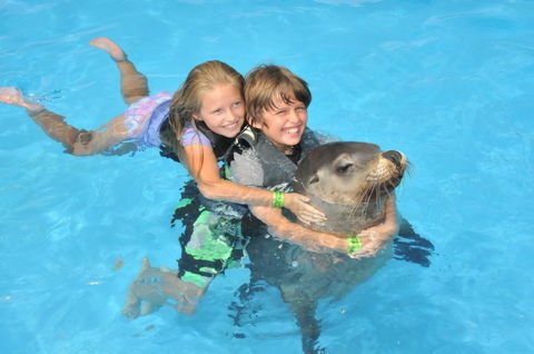 Dolphin Marine Magic - Accommodation Adelaide 9