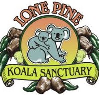 Lone Pine Koala Sanctuary - Accommodation Adelaide