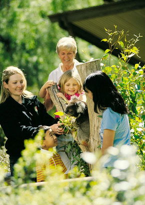 Cleland Wildlife Park - Accommodation Adelaide 5