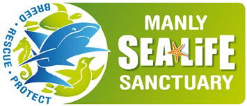 Manly SEA LIFE Sanctuary - Accommodation Adelaide 0