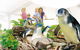 Manly SEA LIFE Sanctuary - thumb 1