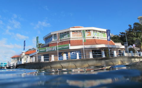 Manly SEA LIFE Sanctuary - Accommodation Adelaide 2