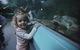 Manly SEA LIFE Sanctuary - thumb 4