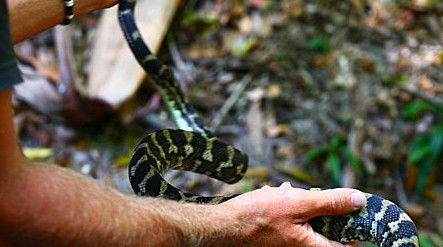 Queensland Day Tours - Accommodation Adelaide 1