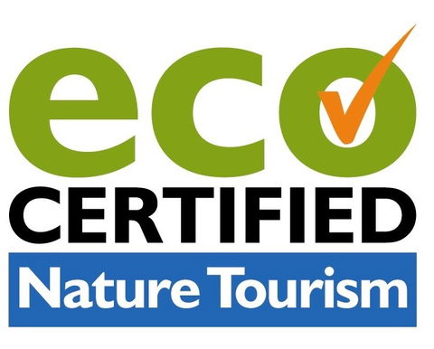 Aquascene Fish Feeding Sanctuary - Accommodation Adelaide 4
