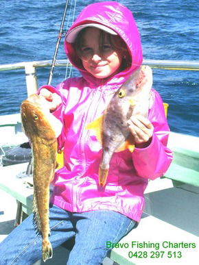 Bravo Fishing Charters - Accommodation Adelaide 5