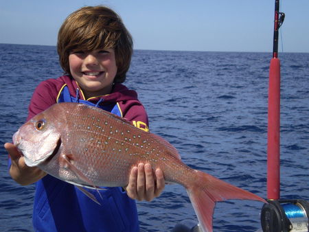Mills Charters Fishing And Whale Watch Cruises - Accommodation Adelaide 4