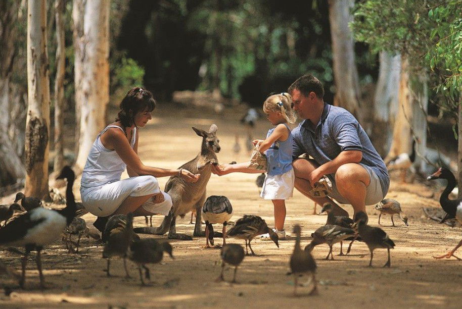 Rowes Bay QLD Accommodation Adelaide