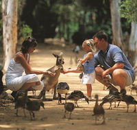 Billabong Sanctuary - Accommodation Adelaide