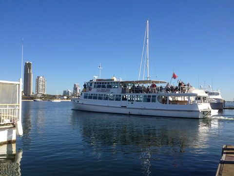 Brisbane Cruises - Accommodation Adelaide 1