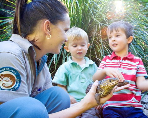 David Fleay Wildlife Park - Accommodation Adelaide 3