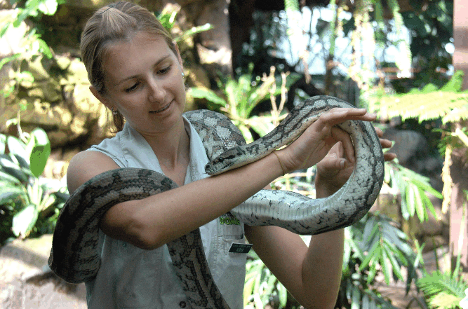 Cairns Wildlife Dome - Accommodation Adelaide 2