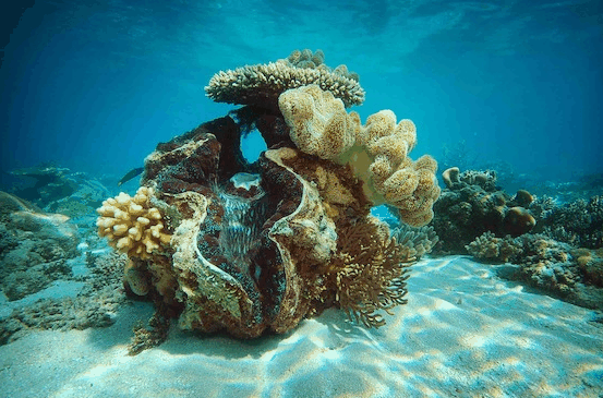 Big Cat Green Island Reef Cruises - Accommodation Adelaide 3