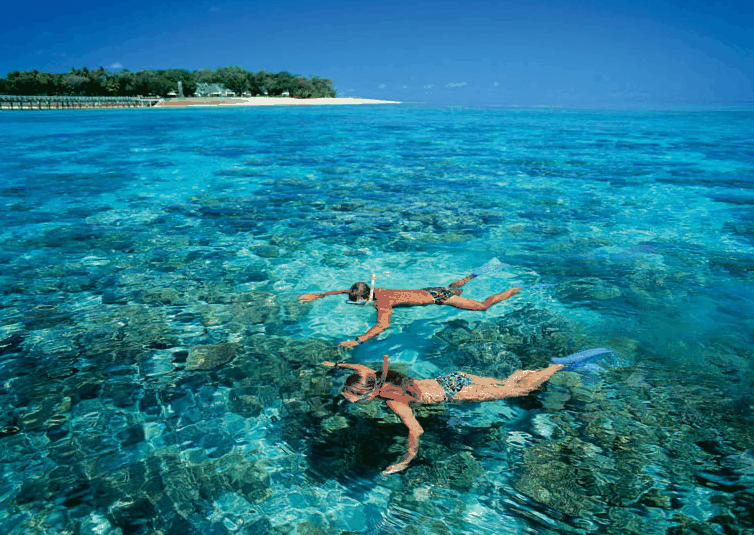 Big Cat Green Island Reef Cruises - Accommodation Adelaide 4