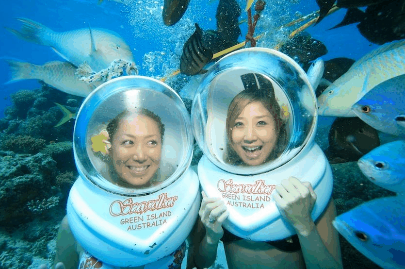 Big Cat Green Island Reef Cruises - Accommodation Adelaide 5