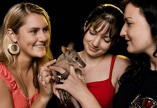Cairns Night Zoo - Accommodation Adelaide 1