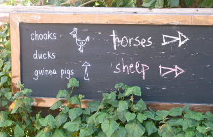 Collingwood Children's Farm - Accommodation Adelaide 4