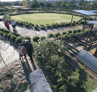 Kojonup Rose Maze - Accommodation Adelaide